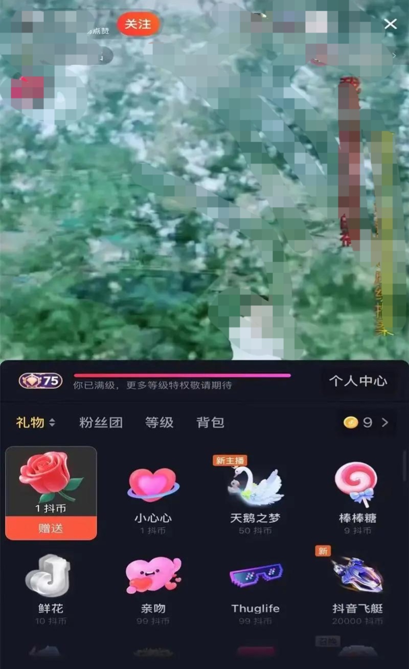 抖音網(wǎng)紅是如何盈利的？